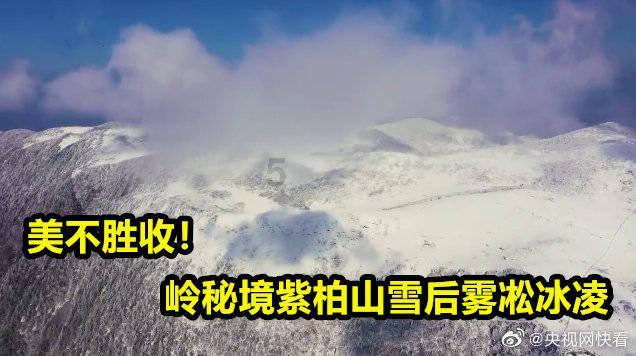 黄色小人推箱子